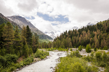 Fototapeta na wymiar Bernina, Morteratsch, Diavolezza, Gletscher, Val Bernina, Engadin, Alpen, Graubünden, Wanderweg, Sommer, Schweiz