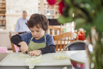 Boy cutting cabbage on chopping board at home