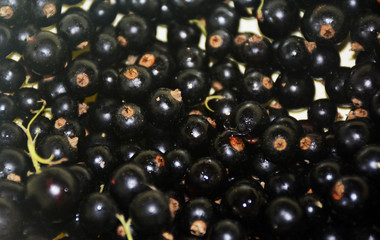 Juicy fruits of nature