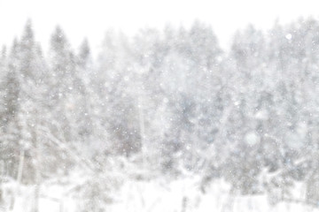 Blurred background defocus