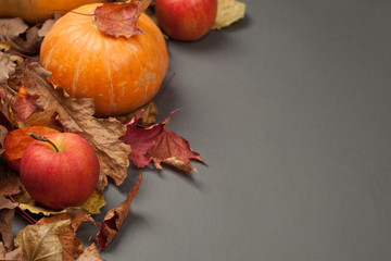 Autumn Pumpkin Thanksgiving Background - orange pumpkin and red apples over fall leaves on gray table. copy space