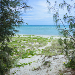 Beach Walk