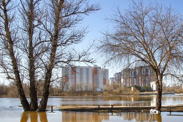 Fototapeta na wymiar Flood on the river in spring near a residential microdistrict.