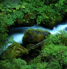 A small creek flows through the forest in Southern Oregon 
