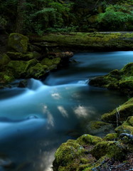 Fototapeta na wymiar A small creek runs through the lush green forests of Southern Oregon 