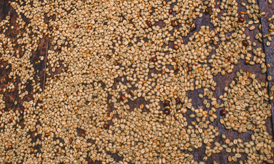 Coffee beans drying out after having the shells removed on a finca / coffee farm in Colombia