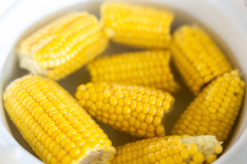 Sweet tasty organic boiled corn in pot. Natural bio ripe sweetcorn cereal. Healthy source of calcium, potassium, magnesium and iron. Yellow food background