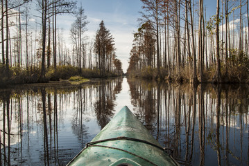 Kayaking in bayou - obrazy, fototapety, plakaty