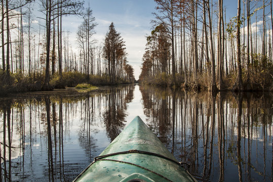 Kayaking in bayou