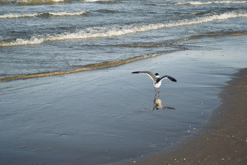 Take Off