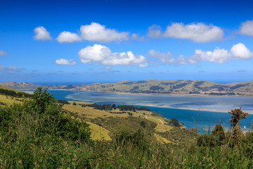 Fototapeta na wymiar Otago peninsula, Dunedin, New Zealand