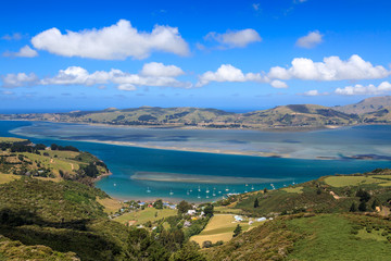 Fototapeta na wymiar Otago peninsula, Dunedin, New Zealand