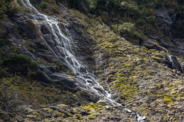 Waterfall and vegetation at Franz Josef Glacier, south island New Zealand