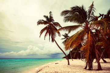 Obraz premium Ocean and tropical coastline in Dominican Republic