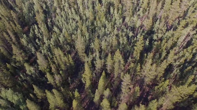 Aerial drone footage of forests, trees, woods, and mountains in Colorado Rockies (down 1)
