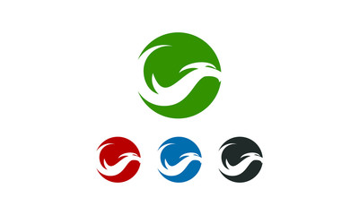 colorful brand bird