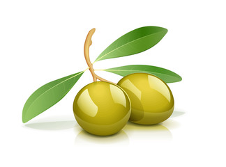 Two green olive with leaf. Oil natural vegetarian product.