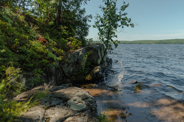 Summer by the lake