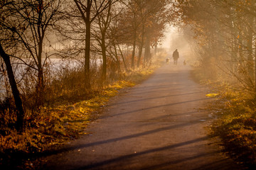 Obraz premium Old Man Walking with Dogs