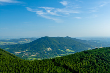 Wide View from Forest