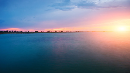 a wild beach and a pigeon sea water on a lovely sunny day