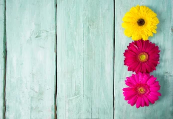 Foto op Plexiglas gerbera flower on wooden surface © Diana Taliun