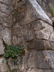 The historic fortified York Wall made of carved stone 
