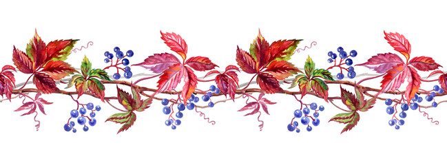 Seamless border of wild grapes, watercolor painting on white background.