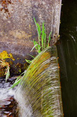 Small Weir vert