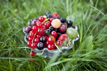 fresh organic fruits in a glass bowl on green grass