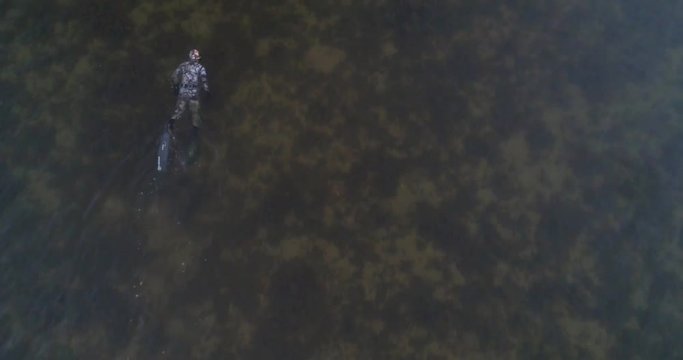 Diver in the sea, C4K aerial tilt view of a spearfisher hunting and diving in shallow and low waters of the baltic sea, on a sunny summer evening dusk, in Hanko, Finland