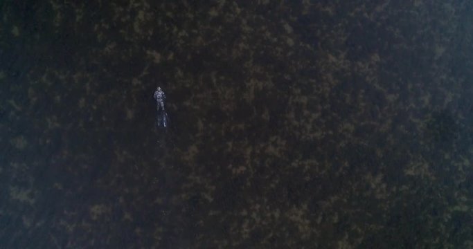 Diver in the sea, C4K aerial view following a spearfisher hunting and diving in shallow and low waters of the baltic sea, on a sunny summer evening dusk, in Hanko, Finland