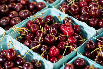 Red cherries in quart container