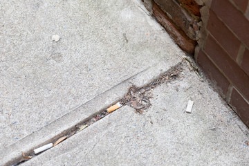 Cigarette butts on sidewalk  