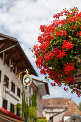 Fototapeta na wymiar Red geraniums in Gruyere, Switzerland
