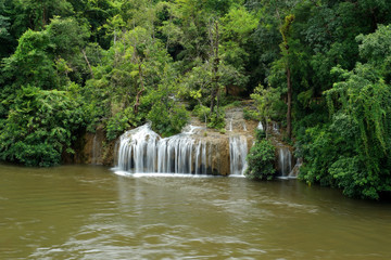 beautiful waterfall in green forest