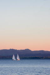 Twilight Sailboats