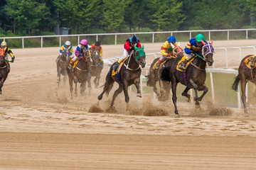Gwacheon Racing Park, running horse
