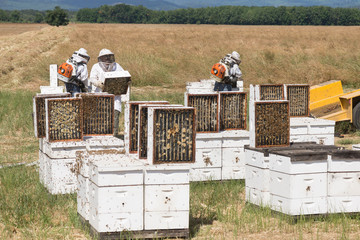Collecting the frames