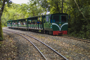 Fototapeta premium Tren 2