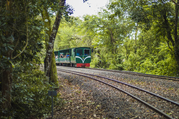 Obraz premium Tren 1