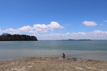 ニュージーランドの浜辺