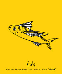 해산물 일러스트 / 손으로 그린 수산물 그림