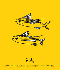 해산물 일러스트 / 손으로 그린 수산물 그림