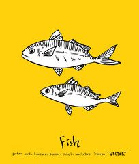 해산물 일러스트 / 손으로 그린 수산물 그림