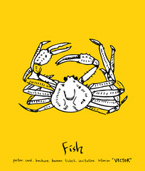 해산물 일러스트 / 손으로 그린 수산물 그림