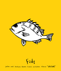 해산물 일러스트 / 손으로 그린 수산물 그림