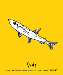 해산물 일러스트 / 손으로 그린 수산물 그림