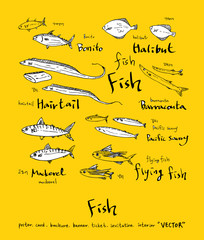 해산물 일러스트 / 손으로 그린 수산물 그림