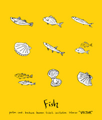 해산물 일러스트 / 손으로 그린 수산물 그림